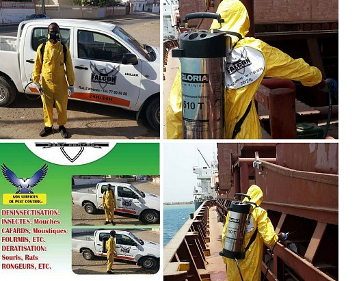 Falcon Pest Control est spécialisée dans la désinfection