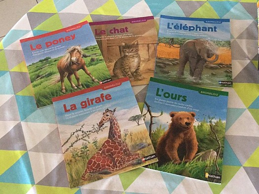 Lots de livres