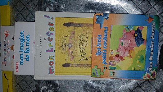 Lot de livres