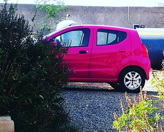 Vente suzuki celario