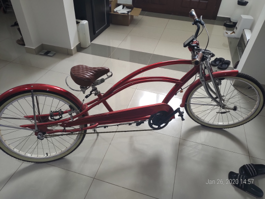 Electric Bicycle