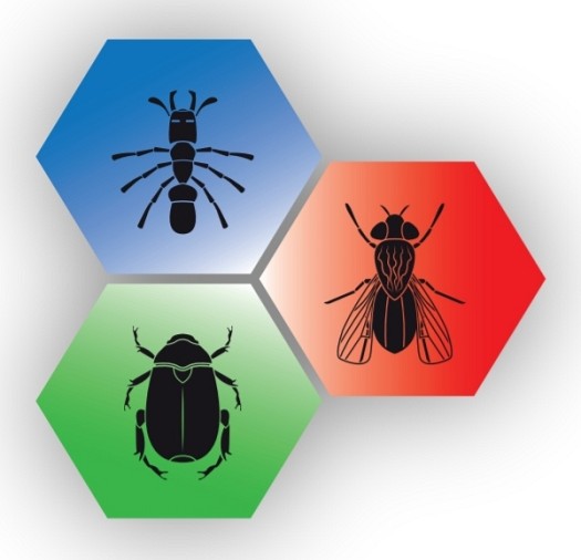 Tip Top Insecte Pest Control