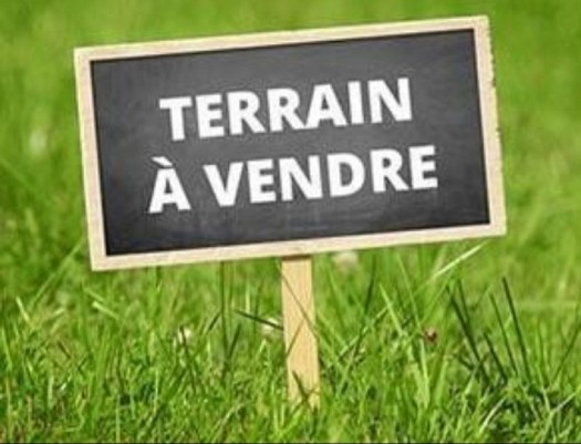 Terrain à vendre 150m2 sis à Damerjoog