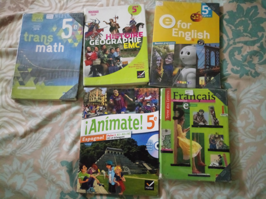 Manuels scolaires de 5ème