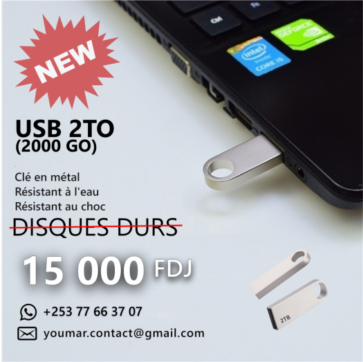 [2000 Giga] Clés USB 2 Téra en métal