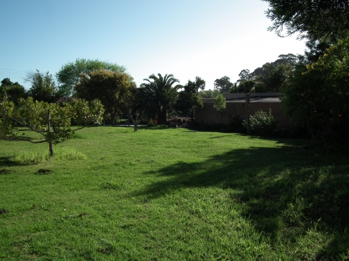 Jardin a Ambouli