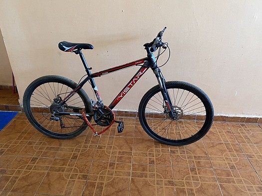 Yistar bicyle large size