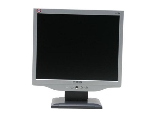 Écran LCD 17 pouces JUSTE pour ordinateur et unite centrale!