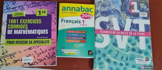 Annales bac