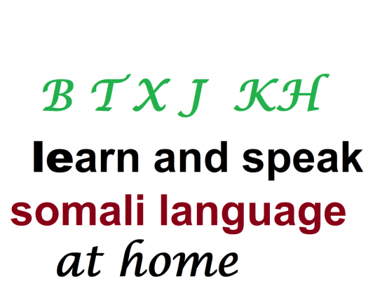somali language home teacher