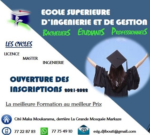 L\'École Supérieure d’Ingenieurs et Gestion de Djibouti : esig