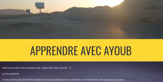 Apprendre Avec Ayoub : Le Premier Site Des Sondages De Djibouti