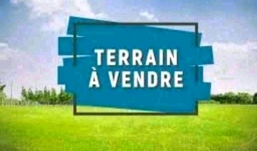 Terrain à vendre à Hodan 1 superficie 250m² soit 12,5m×20m=250m²