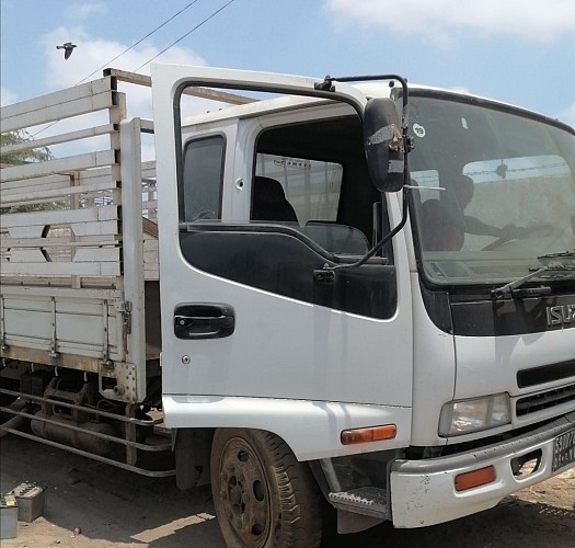 Camion Isuzu Fer