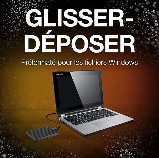 Disque dur externe Seagate 3.0 1TB