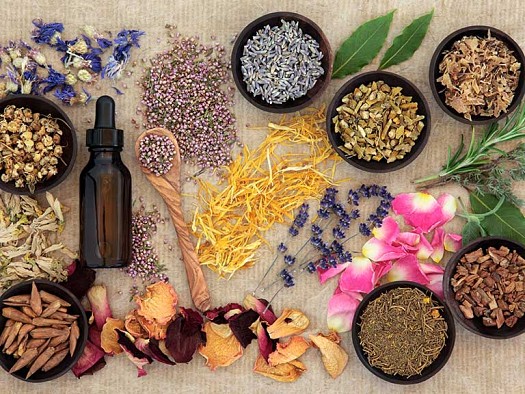 Naturals herbs Medicine