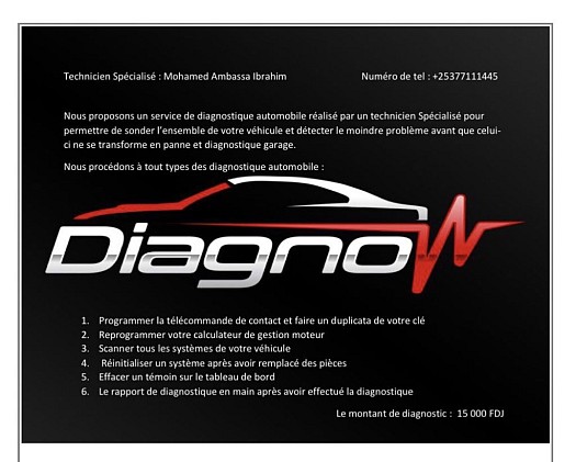 Diagnostic automobile