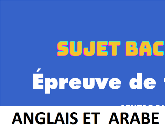 Cours Entrainement du BAC à domicile de Matières Anglais et Arabe.