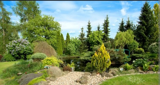 Jardin