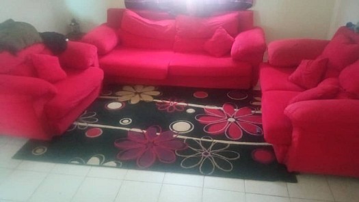 Salon a vendre occasion