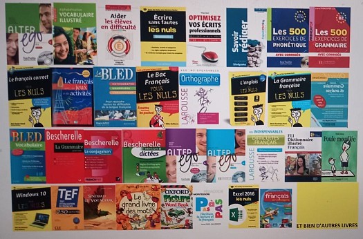 Un lot de 100 livres francais original en pdf
