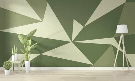 Spécialiste en Peinture / mastique / gypsum et décoration