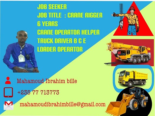 Recherche Emploi en qualité de grutier Spécialisé