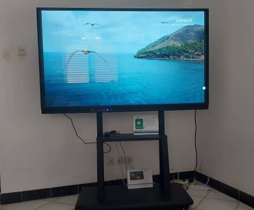 TV Grand écran 65\