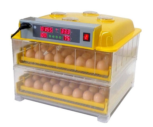 Couveuse Automatique 100 oeufs