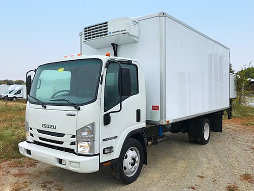 Frigo truck Isuzu