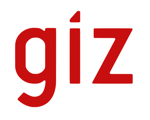 GIZ Tender Announcement: M&E Mechanism for the National Strategy for Migration