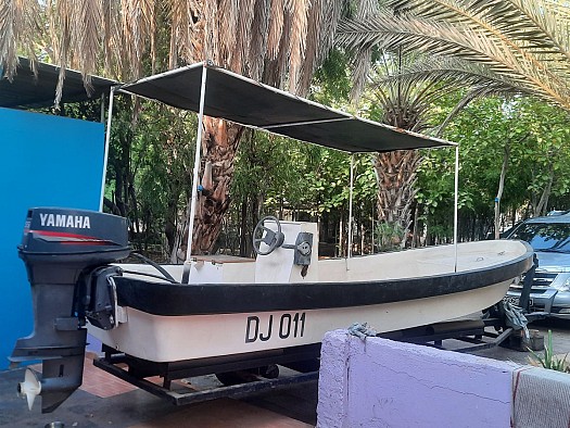 Bateaux Yamaha 6 mètres