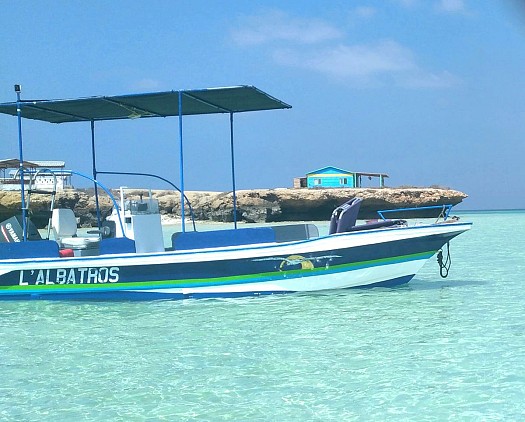 Bateau à vendre YAMAHA ENDURO