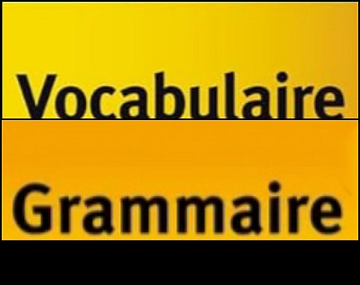 2 livres ( grammaire + vocabulaire)