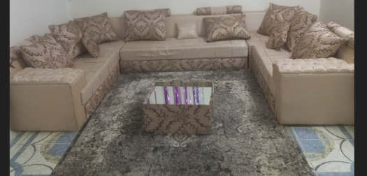Ensemble Salon Moderne avec Tapis et Pots de Fleurs