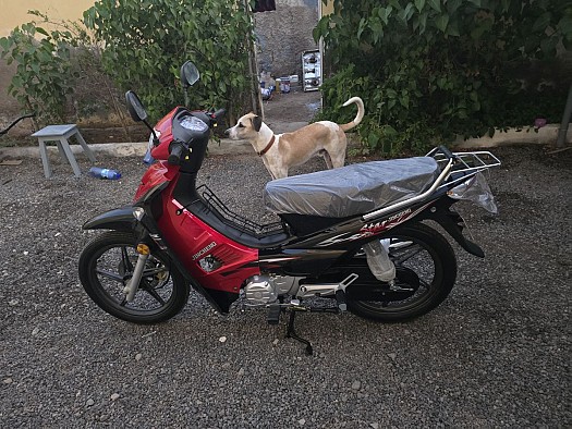 Moto Jincheng JC110-19P neuve 12km à vendre