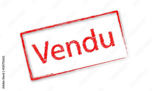 Terrain 10 000 M2 à vendre à Douda, Titre Foncier inclus