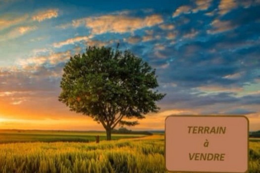 Terrain a vendre a HARAMOUS 300m2 a cause d\'un départ