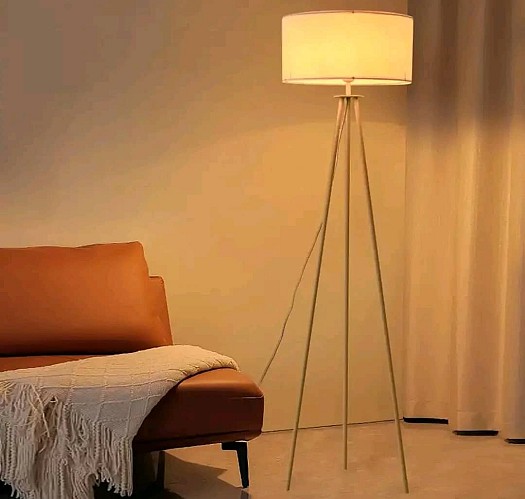 Beautiful floor lamp for living room