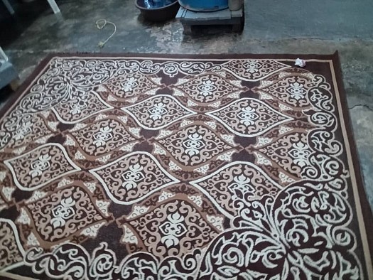 Tapis de salon décoratif en excellent état