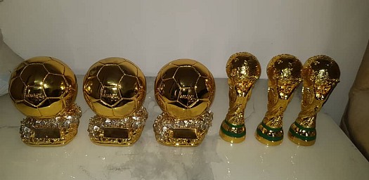 Ballon d\'Or et Coupe du Monde en limitée édition installation tout les jeux et programmes Playstation 2.3 & 4