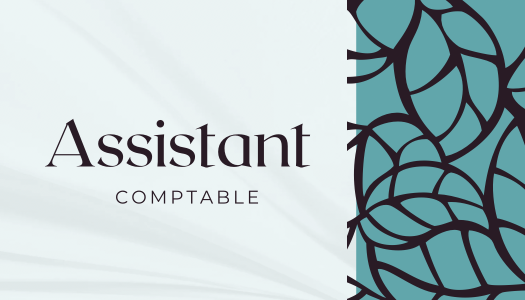 Comptable expérimenté, maîtrise Excel et Sage