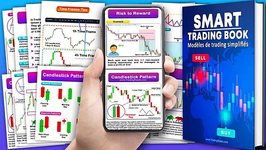 Guide de trading intelligent pour débutants (PDF) - Offre limitée