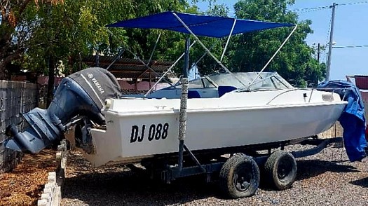 Bateau à moteur 2022, sellerie refaite 2023 avec remorque