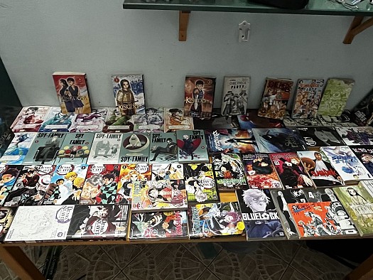 Collection de plus de 70 mangas en bon état
