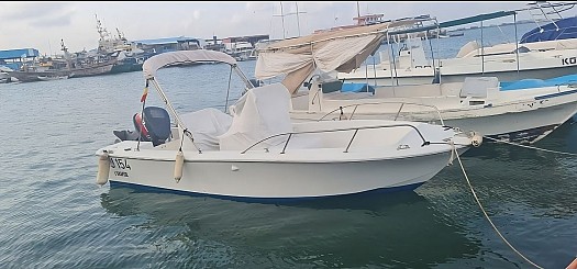 Bateau White Shark 7m, moteur Yamaha 115CV en bon état