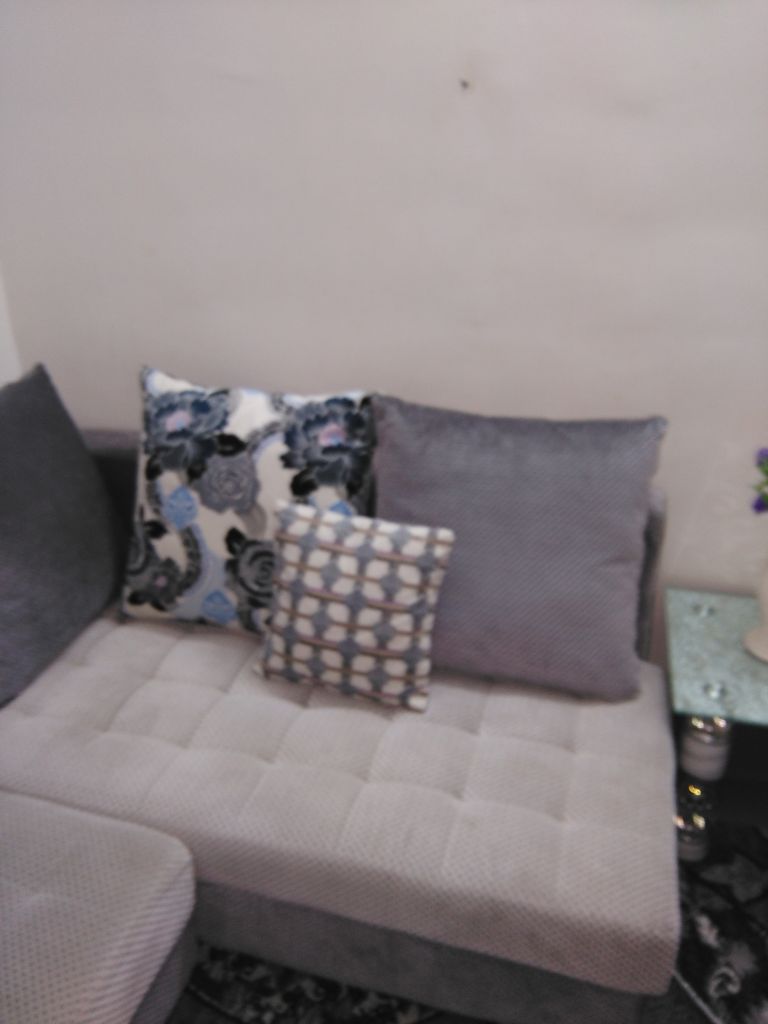 Salon forme L