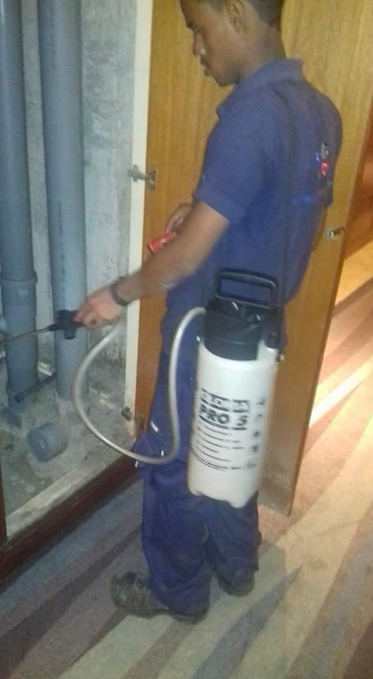 Entreprise Tip Top insecte Pest Control