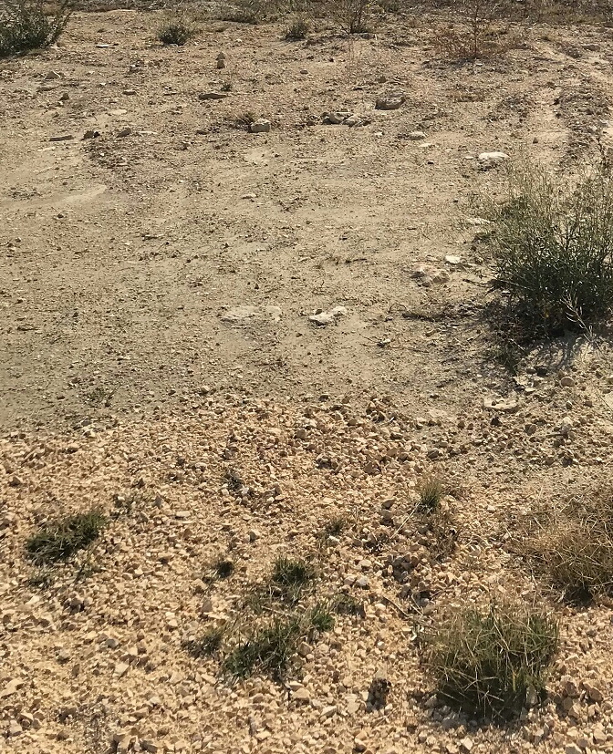 Parcelle de terrain a Arta de 300 m2