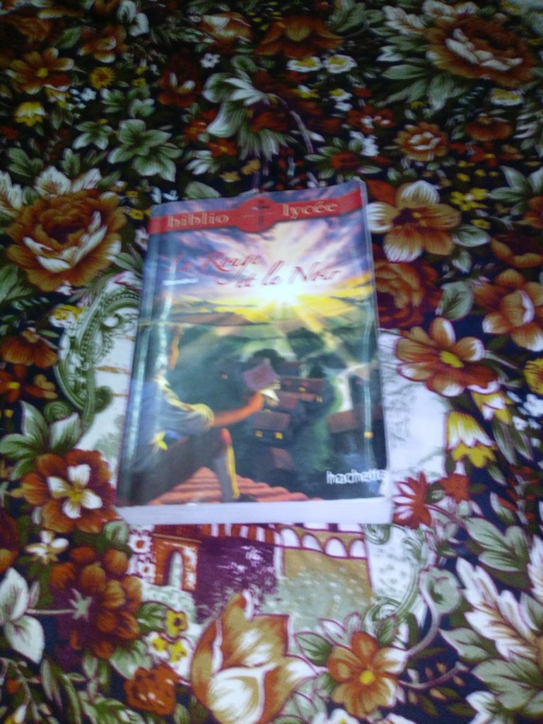 Livres " Le rouge et le noir "